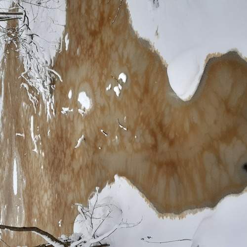 Photo #6104850