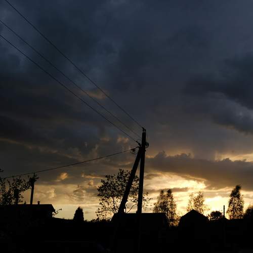 Photo #6105030