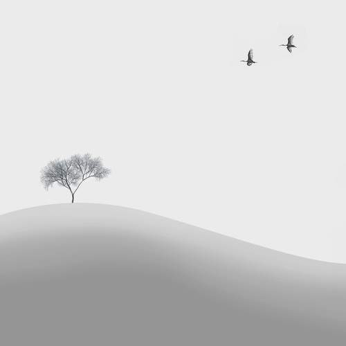 freedom