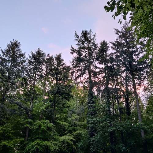 Photo #6105175