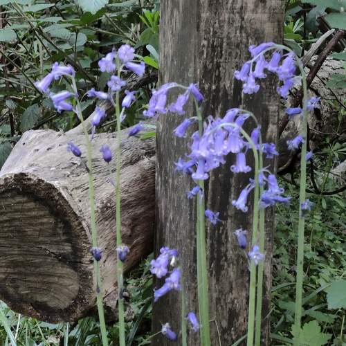 Photo #6105176