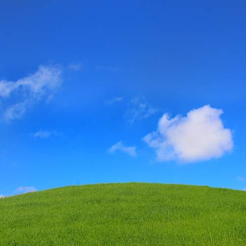 Photo #6105181