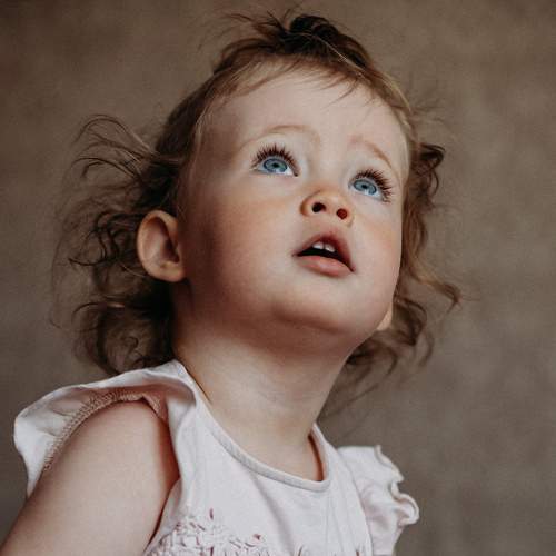 Photo #6105448