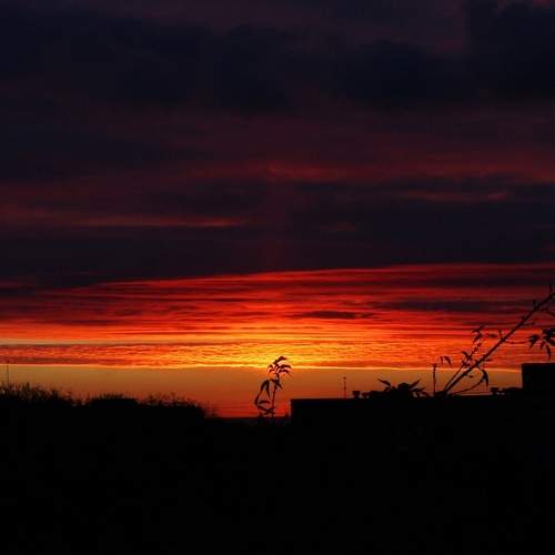 Photo #6105544