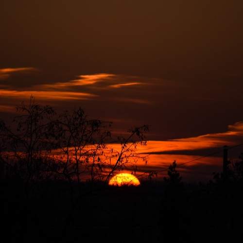 Photo #6105600