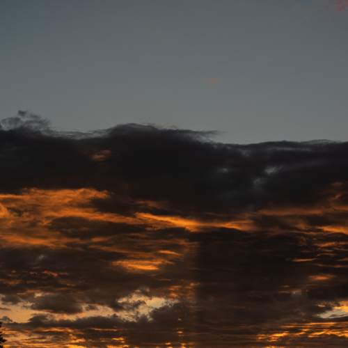Photo #6105601