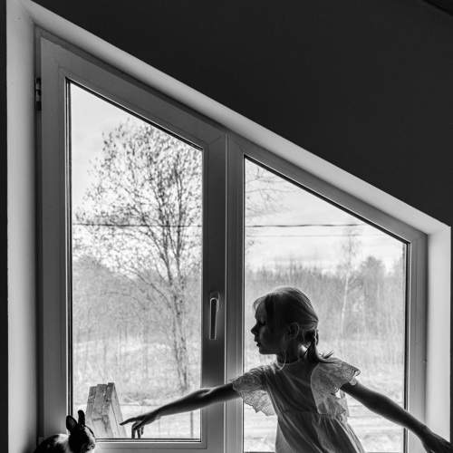 Photo #6105860