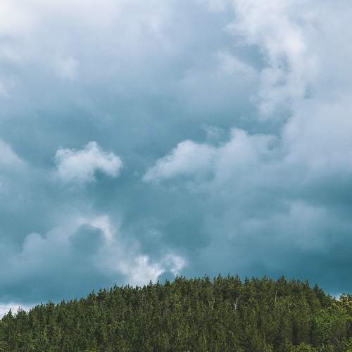 Photo #6106087