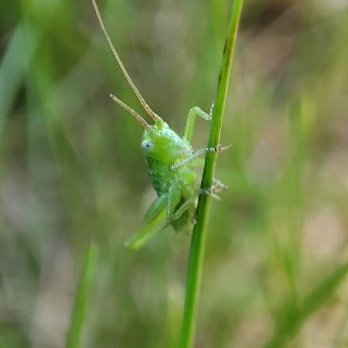 Photo #6106136