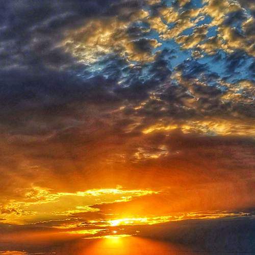 Photo #6106256