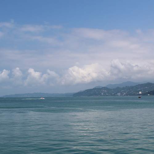 Photo #6106330