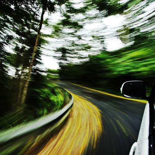 Photo #6106448