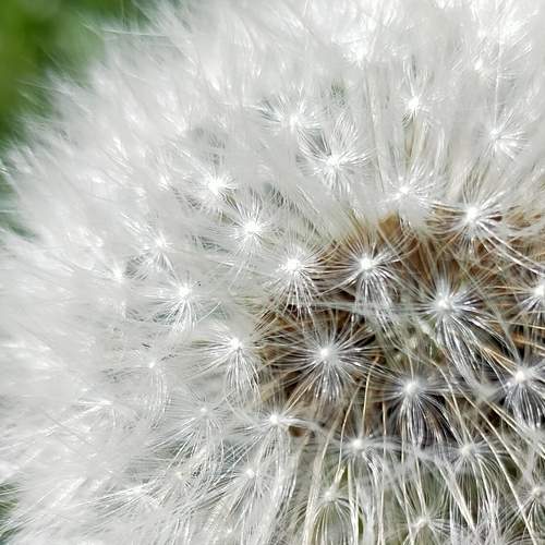 Photo #6107133