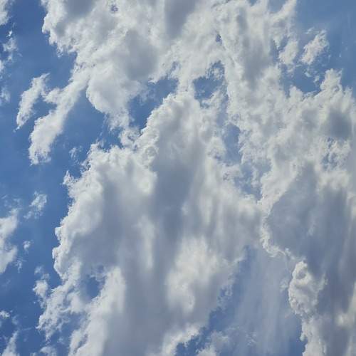 Photo #6107168