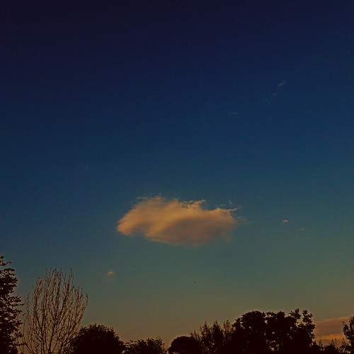 Photo #6107399