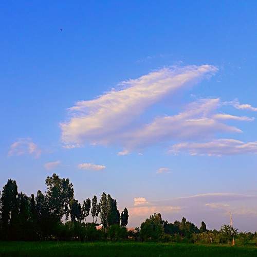 Photo #6107404