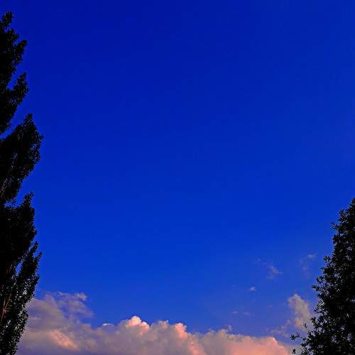 Photo #6107406