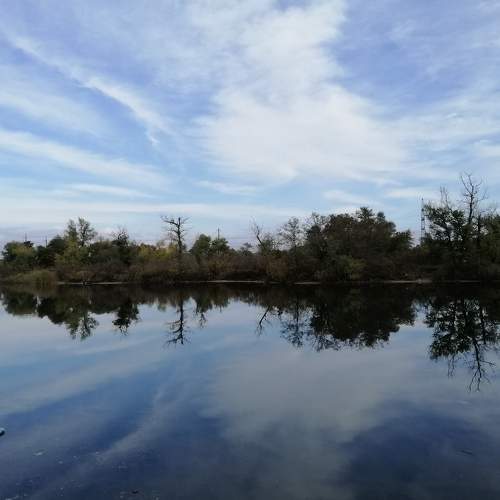 Photo #6107711