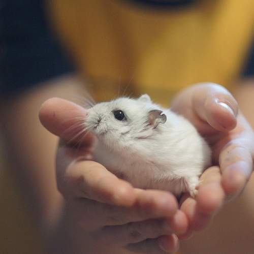 Photo #6108275