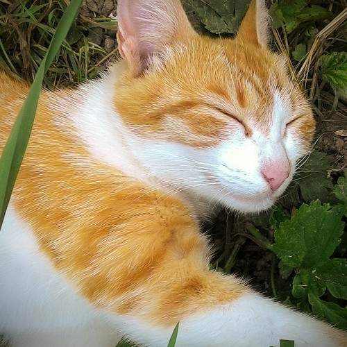 Photo #6108439
