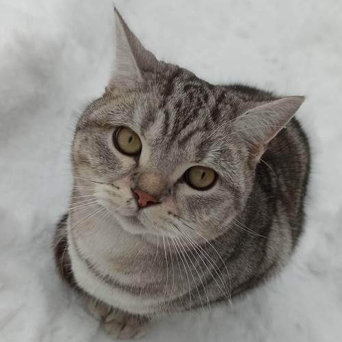 Photo #6108440