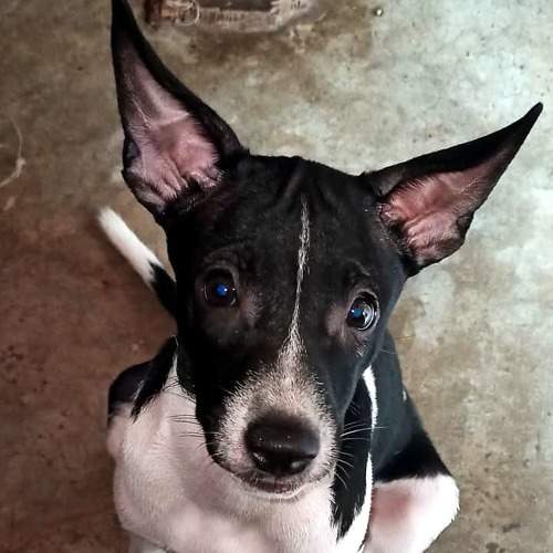 Photo #6108495