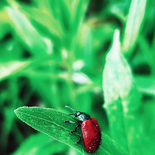 Photo #6108699