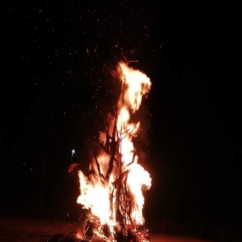 Photo #6108886