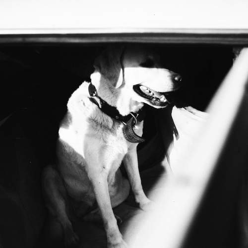 Photo #6109296