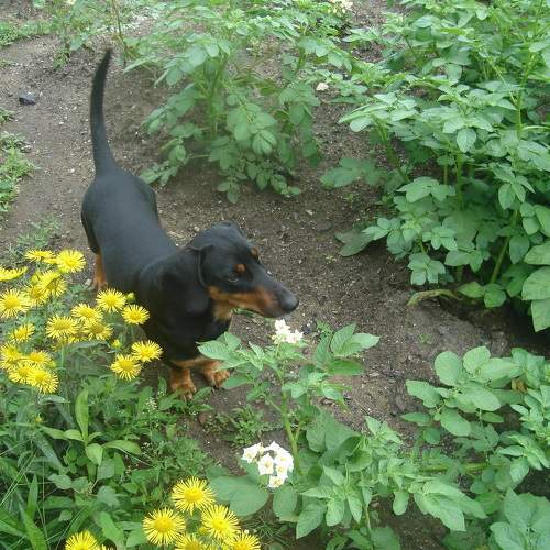Photo #6109337