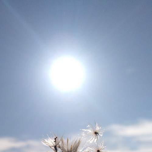 Photo #6109370