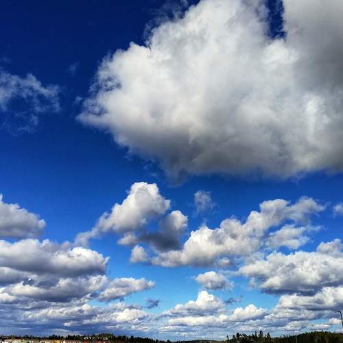 Photo #6109396