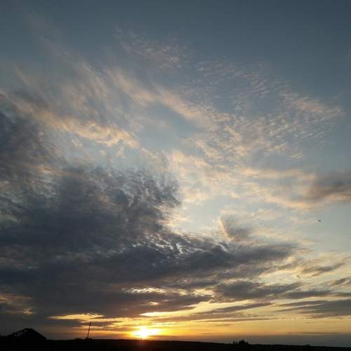 Photo #6109516