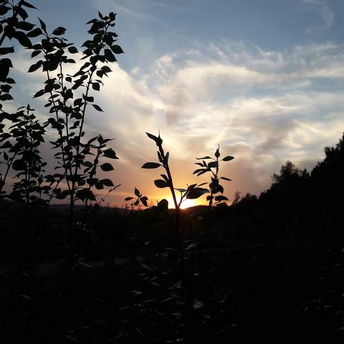 Photo #6109522