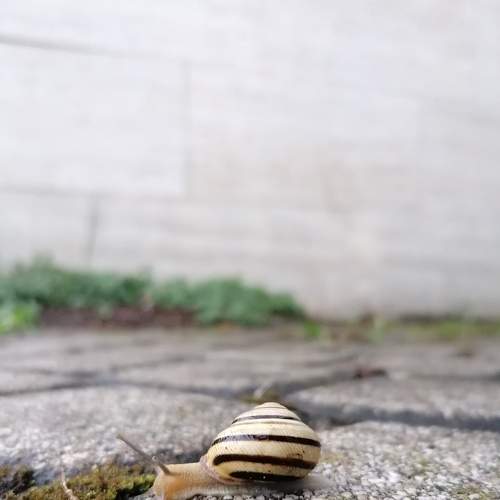 Photo #6109618