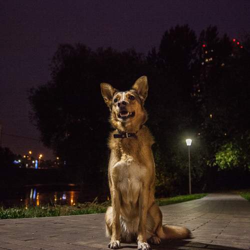 Photo #6109740