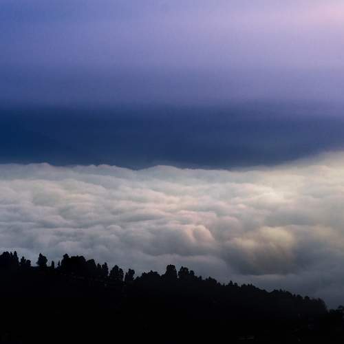 Photo #6109751