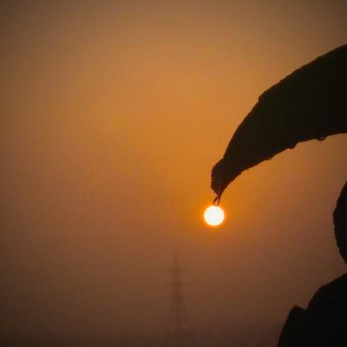 Photo #6109992