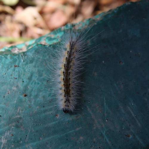 Photo #6110279