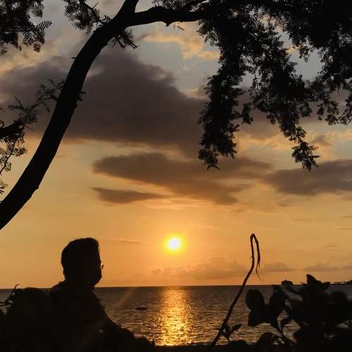 Single and Sunset