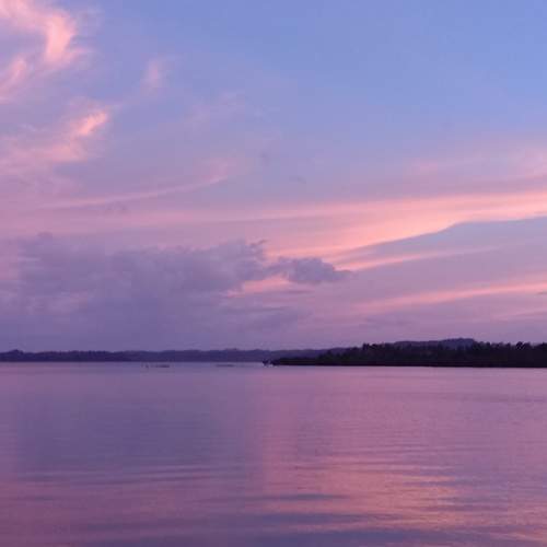 Photo #6110875