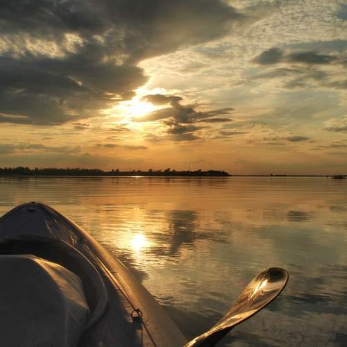 Photo #6111048