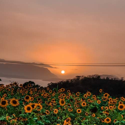 Sunset from Farm