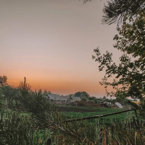 Photo #6111749