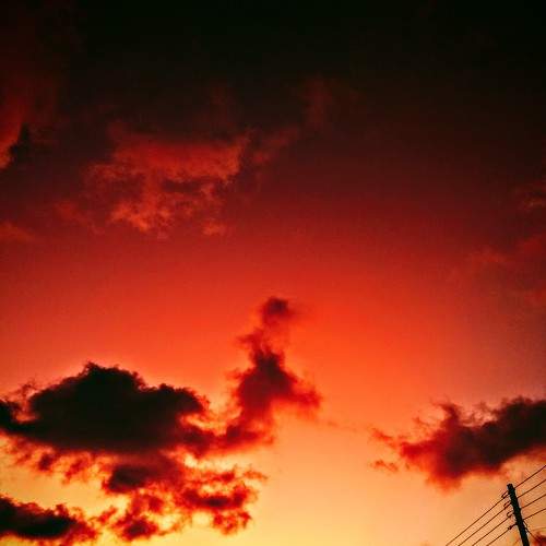 Photo #6112141