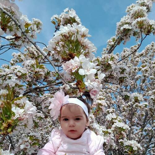 Photo #6112303