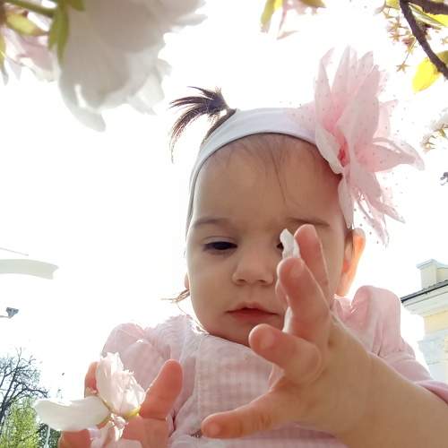 Photo #6112310