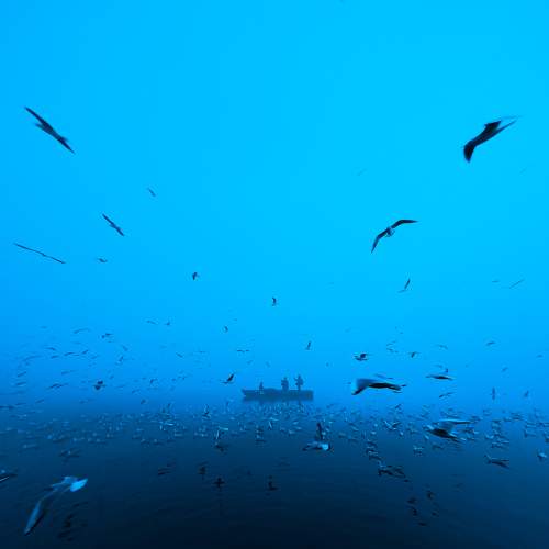 Photo #6112504