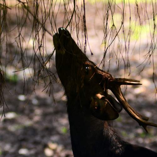 Photo #6112505