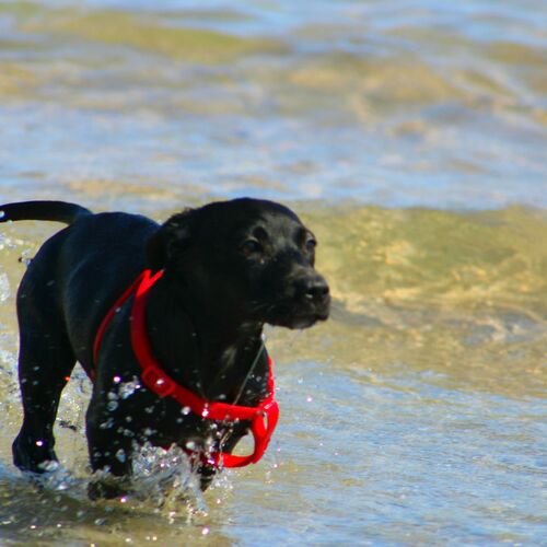Photo #6112559
